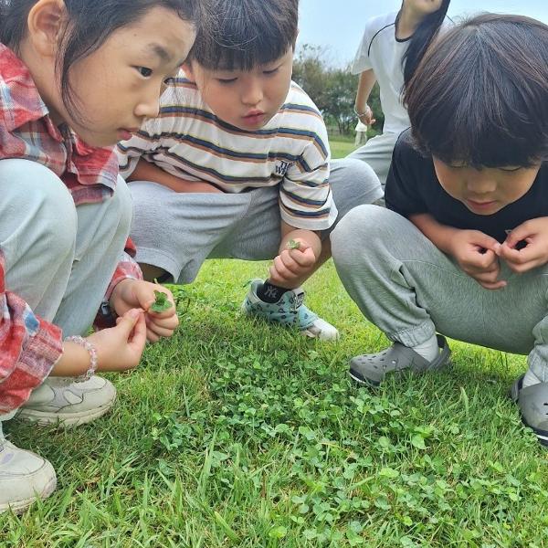 작은학교 체험학습-사천 요라파목장
